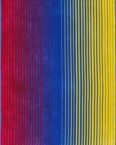 Egeria Strandtuch Summer Stripes, Velours (1-St), Velours mit bunten Streifen, antibakteriell beschichtet